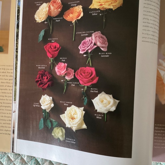 The Best of Martha Stewart Weddings - Picture 5 of 12